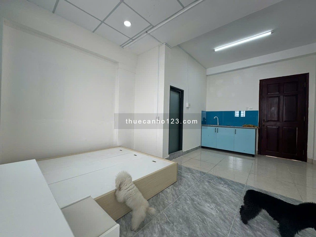 Cho thuê căn hộ studio ngay Lê Văn Thọ DT 40m2, có ban công, gần công viên Làng Hoa, chỉ 4,3 triệu - Ảnh 6