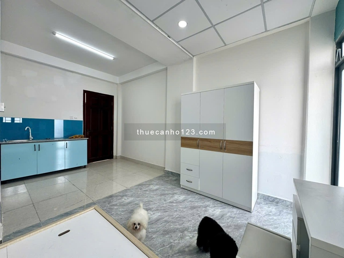 Cho thuê căn hộ studio ngay Lê Văn Thọ DT 40m2, có ban công, gần công viên Làng Hoa, chỉ 4,3 triệu - Ảnh 5