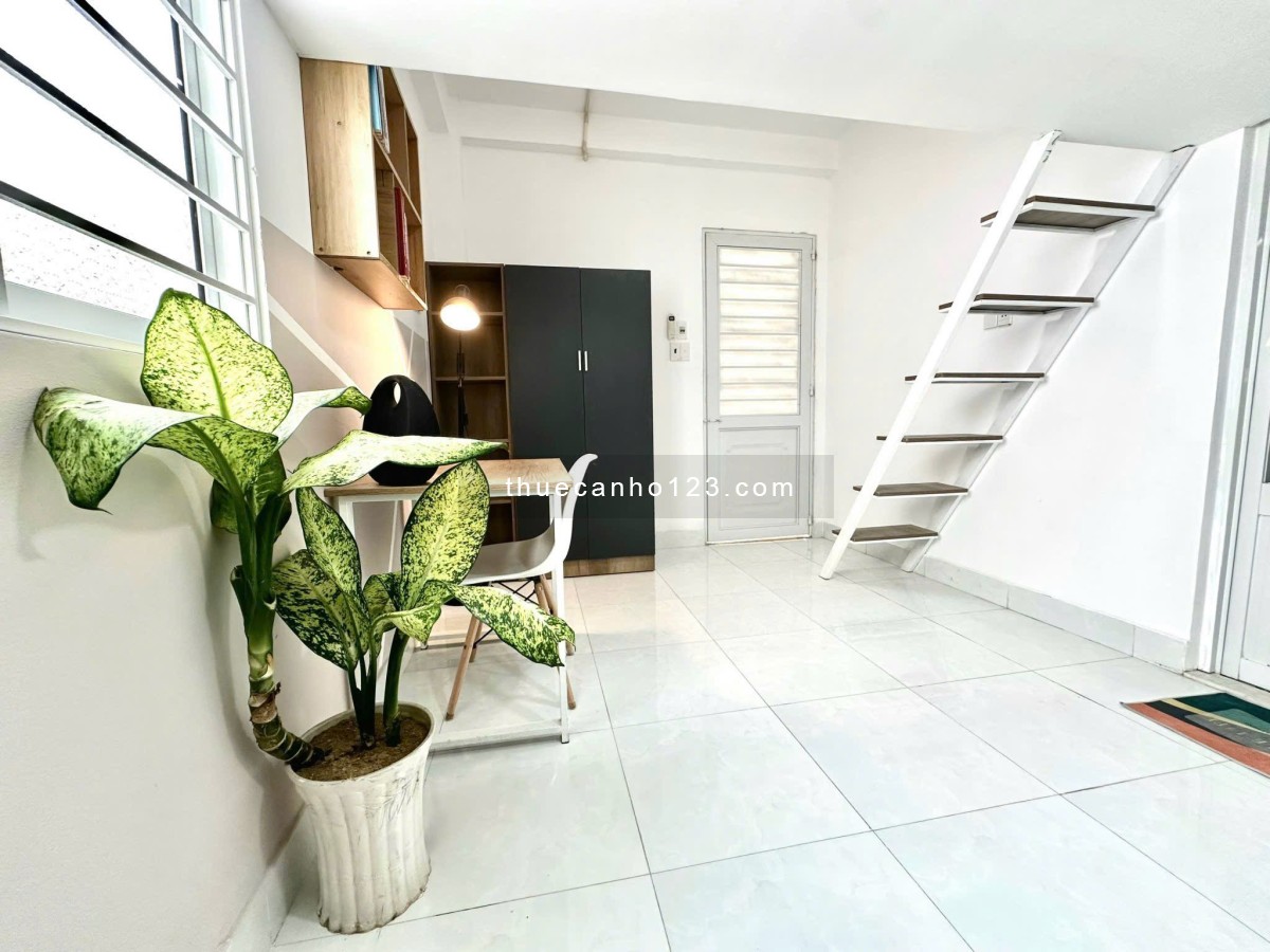 Cho thuê duplex cửa sổ trời nằm ở Dương Quãng Hàm - Gò Vấp - Ảnh 3