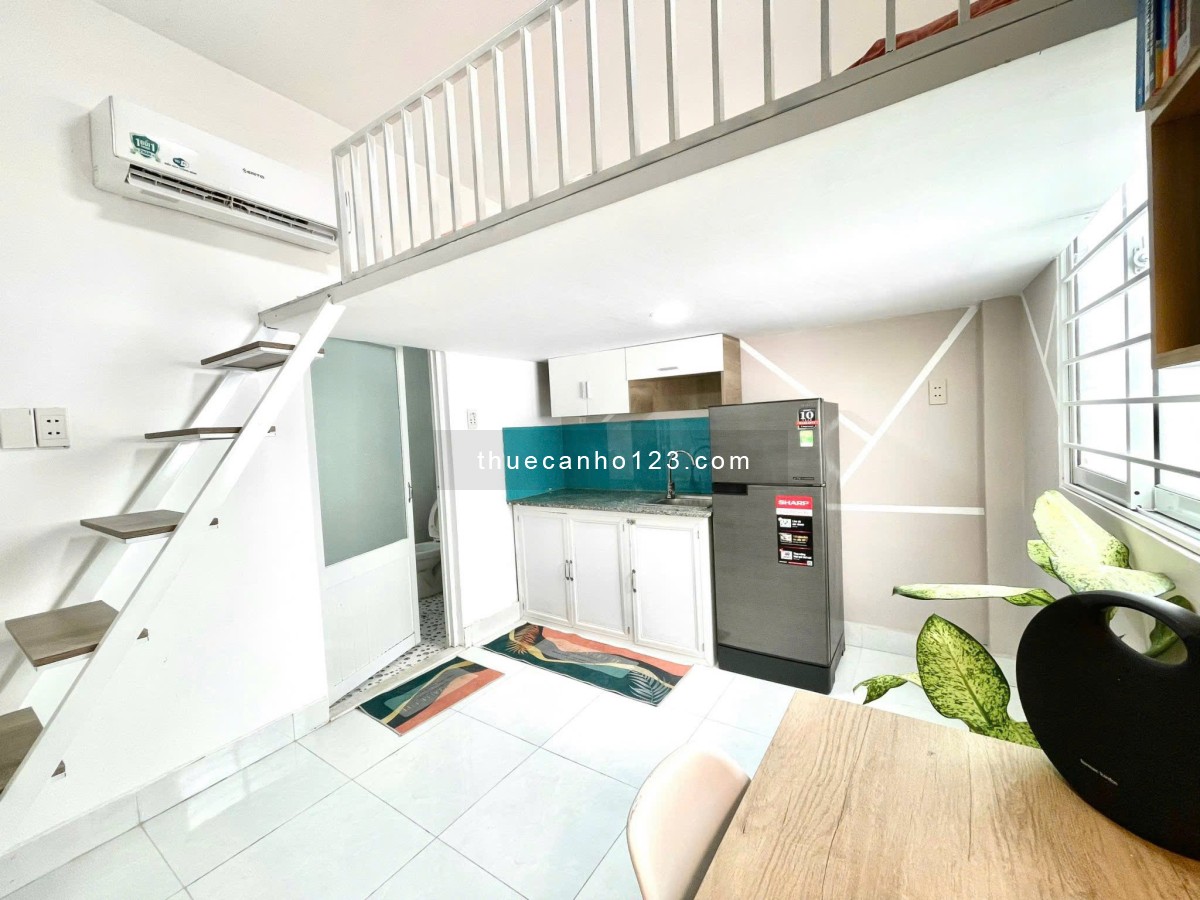 Cho thuê duplex cửa sổ trời nằm ở Dương Quãng Hàm - Gò Vấp - Ảnh 4
