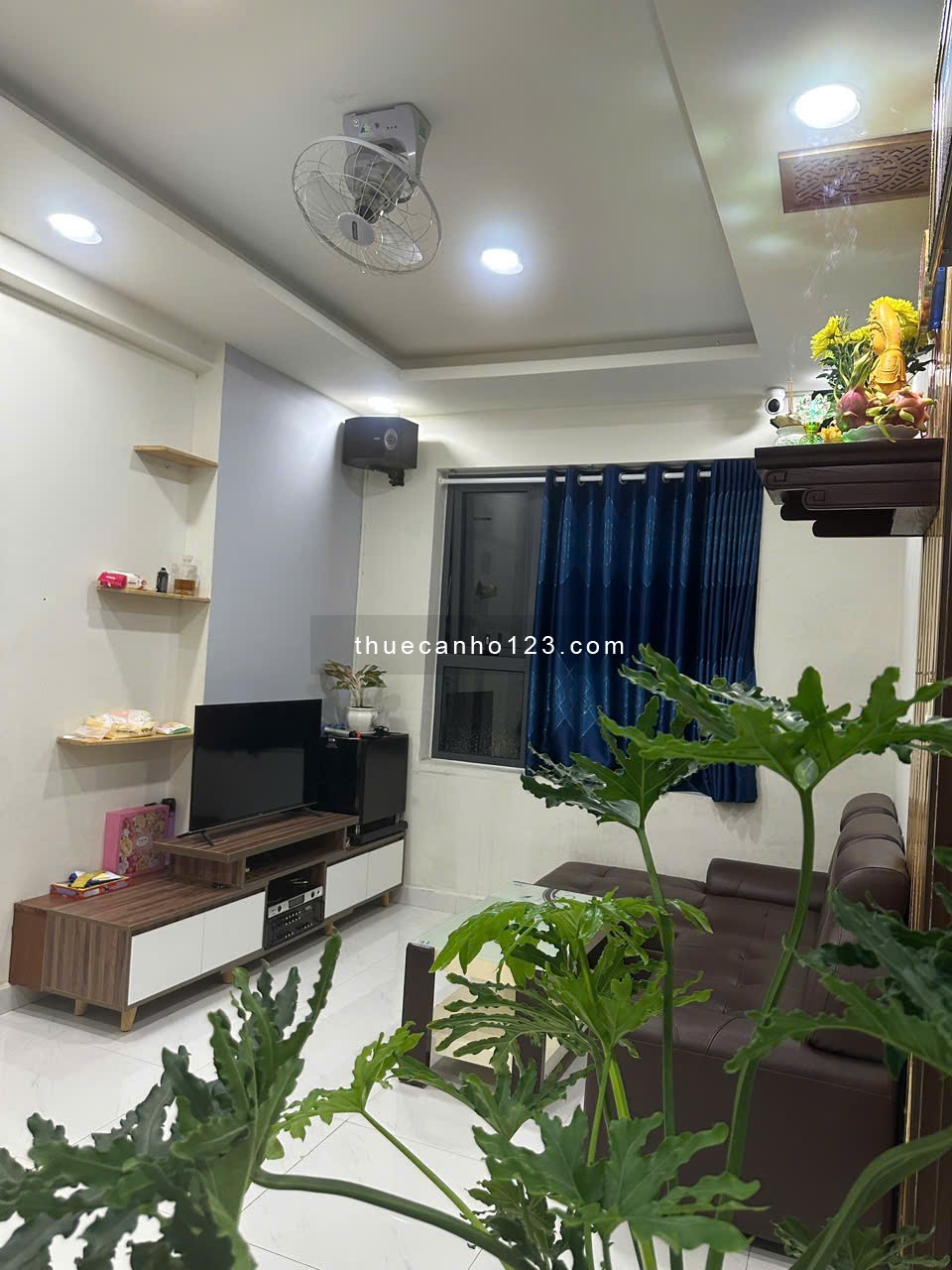 Cần cho thuê gấp căn hộ Green River Phạm Thế Hiển Q8 chỉ 12 triệu/tháng - Ảnh 2