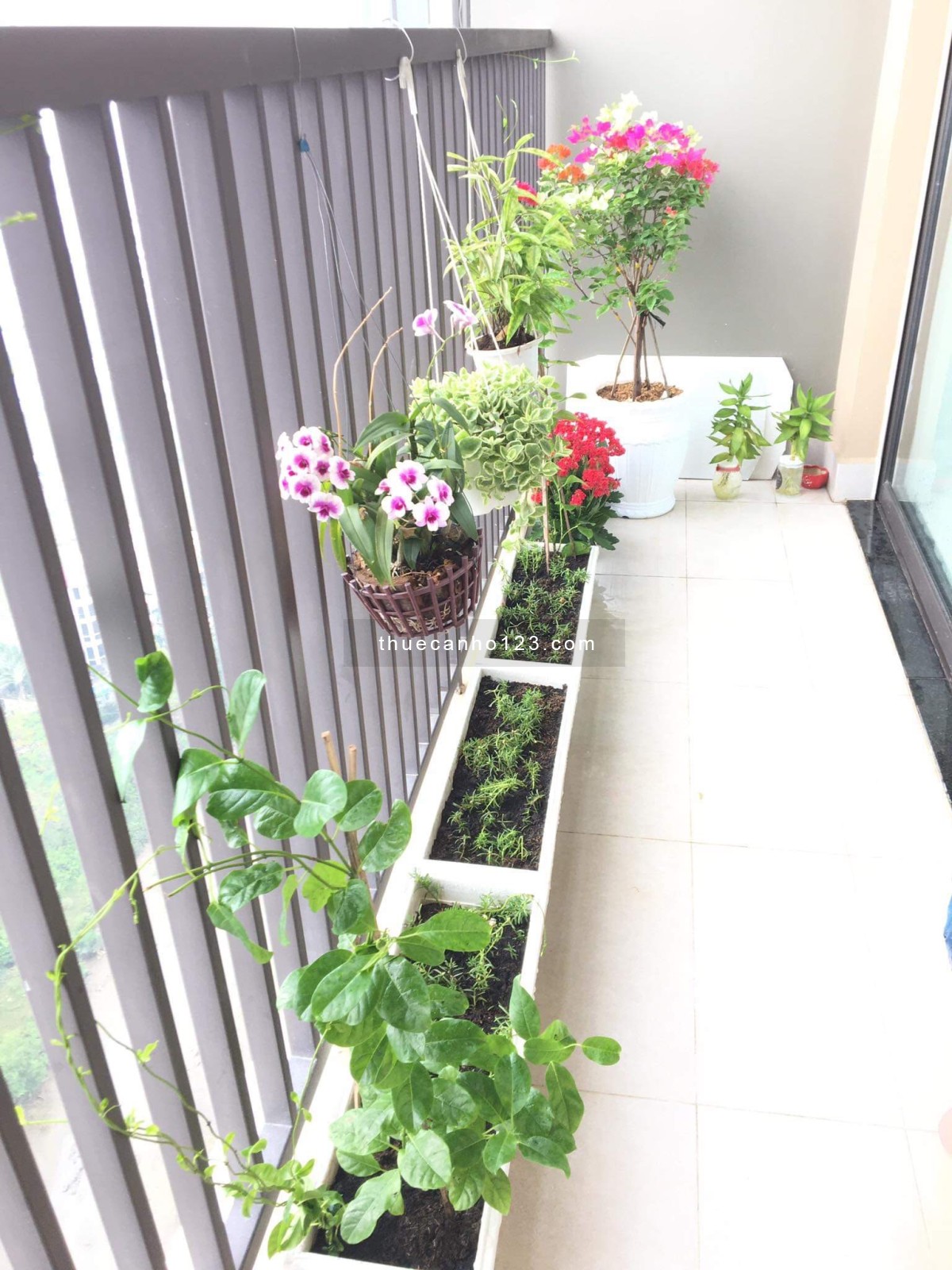 JAMILA KHANG ĐIỀN GIÁ THUÊ CỰC TỐT: 76m2 10 Triệu (Cơ bản * hiếm *)- 70m2 11.5 Triệu (Full nội thất - Ảnh 4