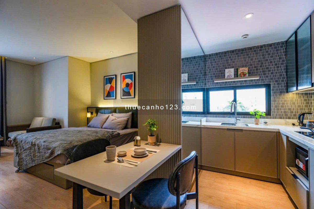 Cho thuê căn hộ dịch vụ tại Phạm Ngũ Lão Q1 DT 40m2, 1N, NTCC, giá chỉ 7 triệu/tháng - Ảnh 3
