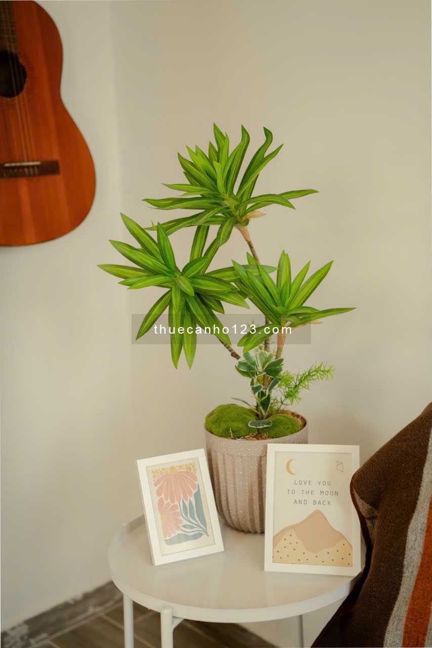 CHUNG CƯ MINI CÓ GÁC 40M², BAN CÔNG LỚN – RỘNG THOÁNG, SIÊU CHILL | ĐIỆN BIÊN PHỦ, QUẬN 1 - Ảnh 11