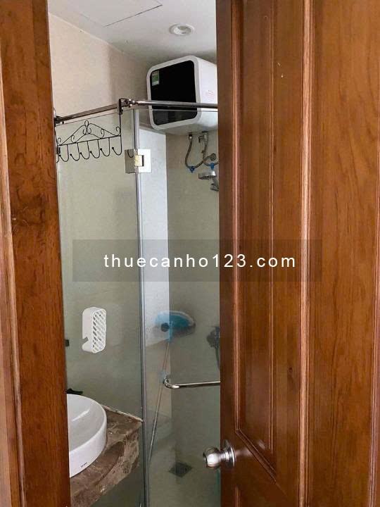 Cho thuê căn Sky Center - 74m2, 2pn 2wc Full Nội thất Giá 17tr Lh 0933481089 - Ảnh 3