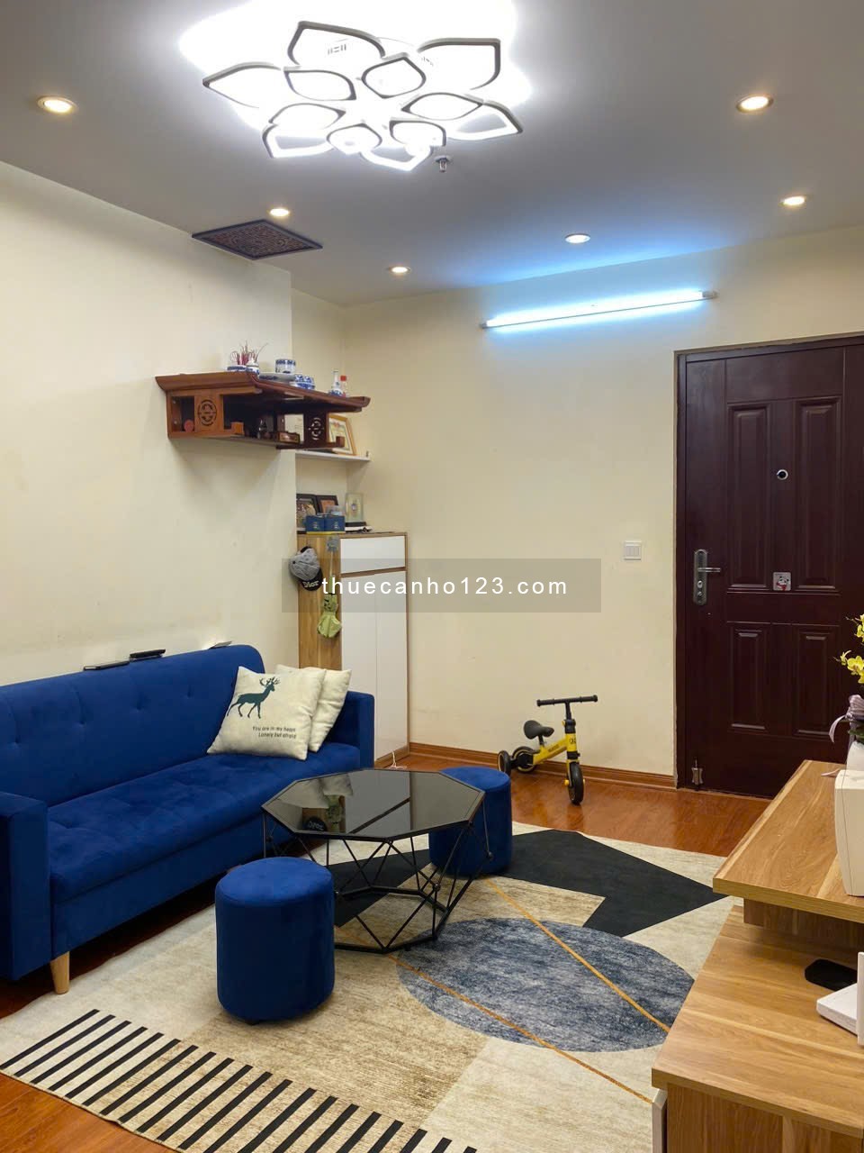 Cho thuê chung cư cát tường eco bắc ninh - Ảnh 1