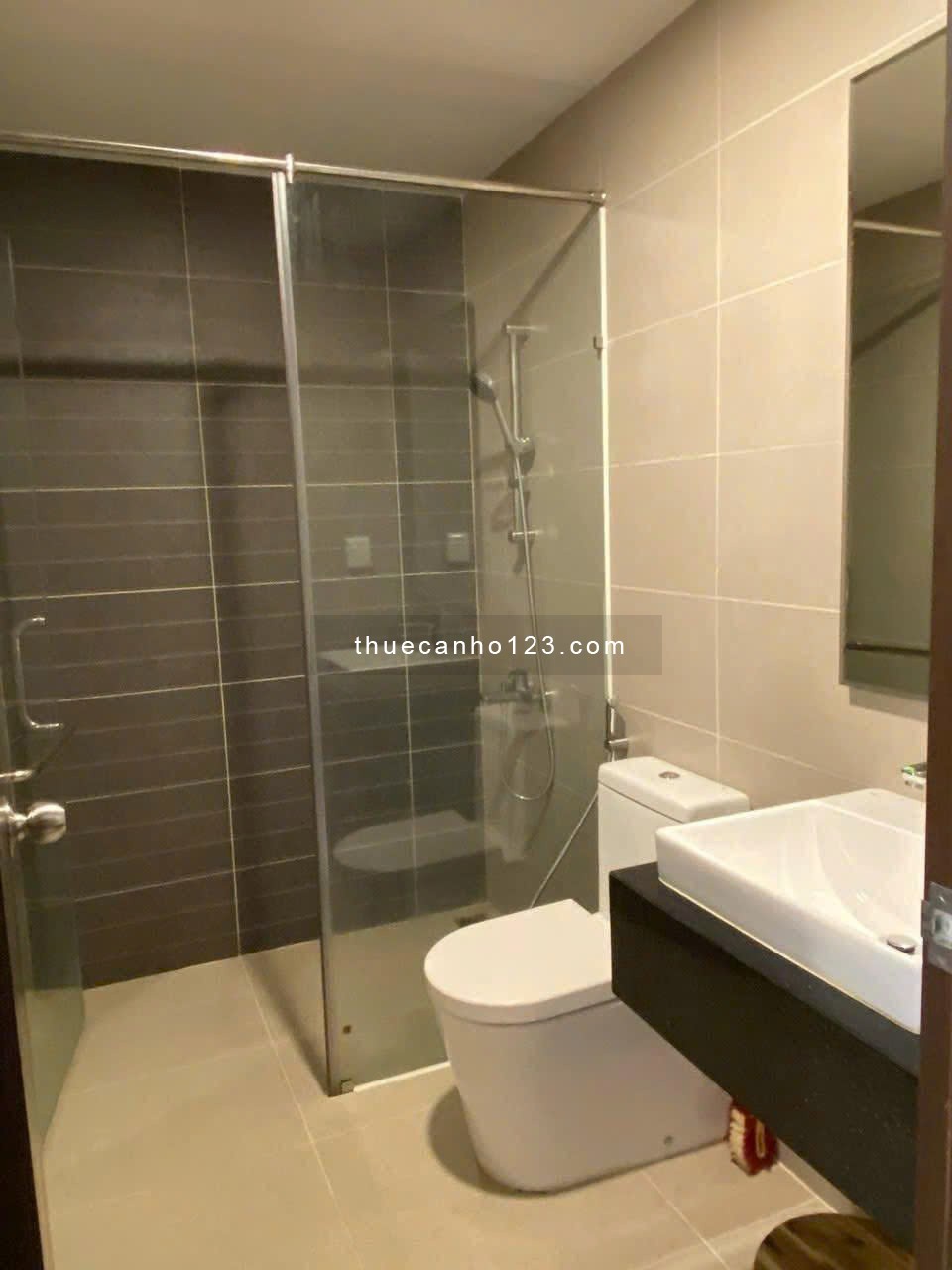 Cho thuê chung cư cao cấp Res Green Thoại Ngọc Hầu, Full Nội Thất, 3PN, 83m2, Giá 16 tr/th - Ảnh 6
