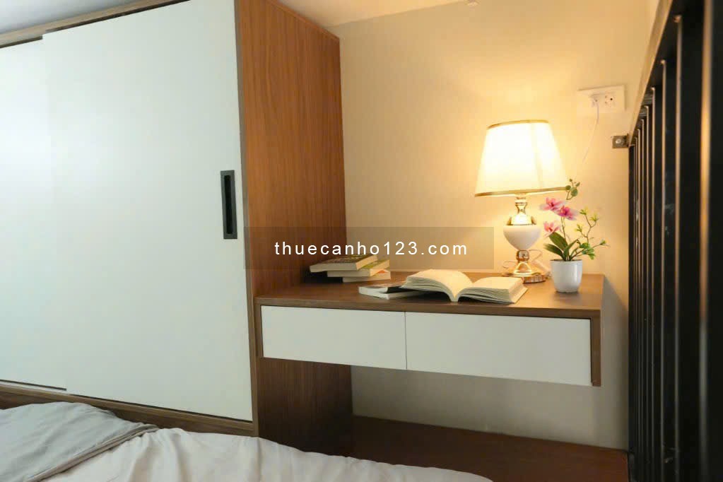 Cho thuê căn hộ cao cấp Bạch Đằng Bình Thạnh DT 35m2, 1PN, đủ nội thất, giá 7 triệu/tháng - Ảnh 4