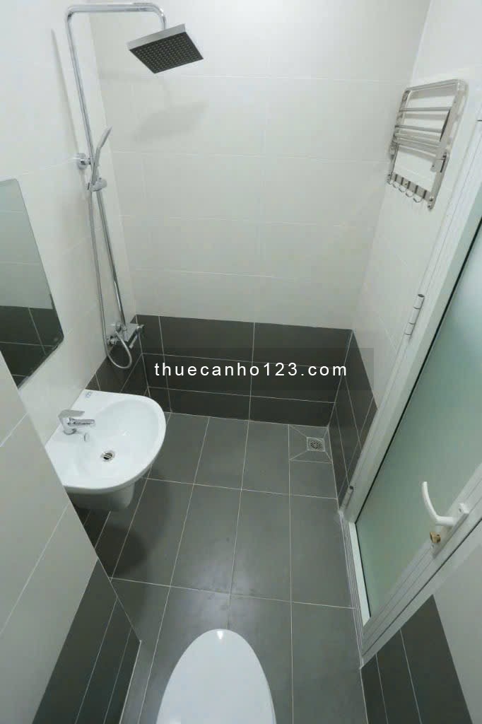 Cho thuê căn hộ cao cấp Bạch Đằng Bình Thạnh DT 35m2, 1PN, đủ nội thất, giá 7 triệu/tháng - Ảnh 5