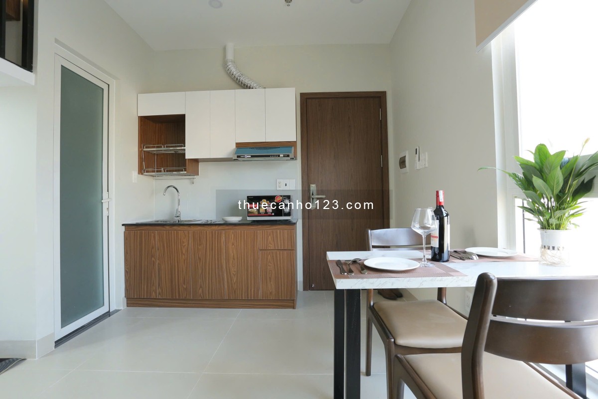 Cho thuê căn hộ cao cấp Bạch Đằng Bình Thạnh DT 35m2, 1PN, đủ nội thất, giá 7 triệu/tháng - Ảnh 3