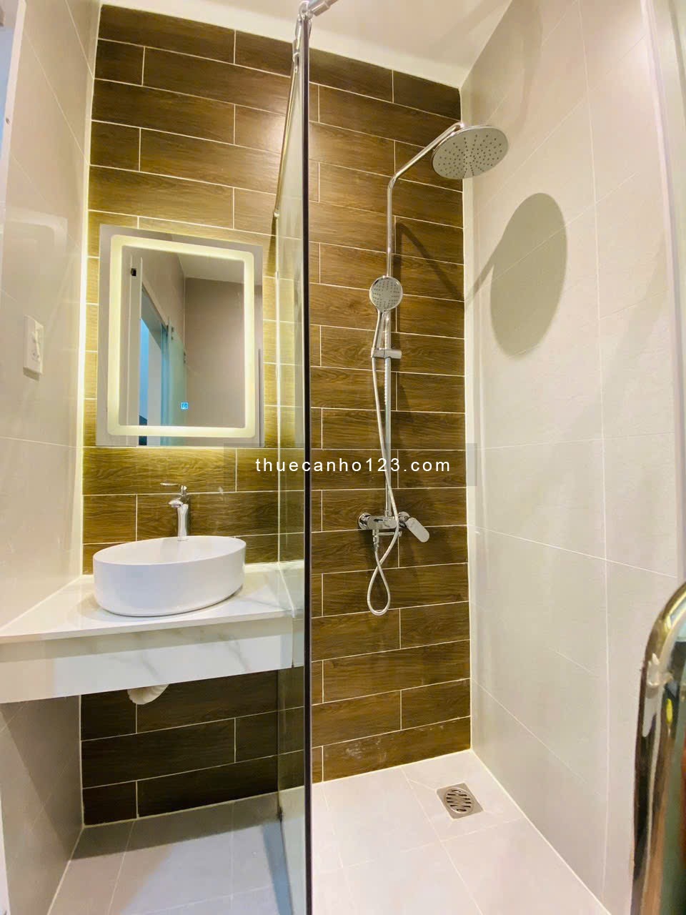 CHO THUÊ CĂN HỘ DUPLEX TRẦN BÌNH TRỌNG FULL NỘI THẤT, CÓ THANG MÁY GẦN ĐH QG, ĐH SƯ PHẠM, VLU - Ảnh 5