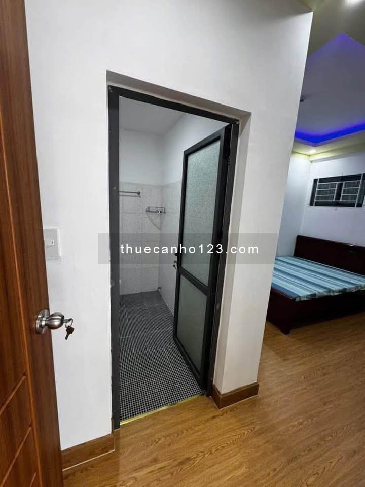 Cho thuê căn hộ Bigemco, Lý Thường Kiệt - 2PN, DT 86m2, đủ nội thất giá 13tr/tháng - Ảnh 4