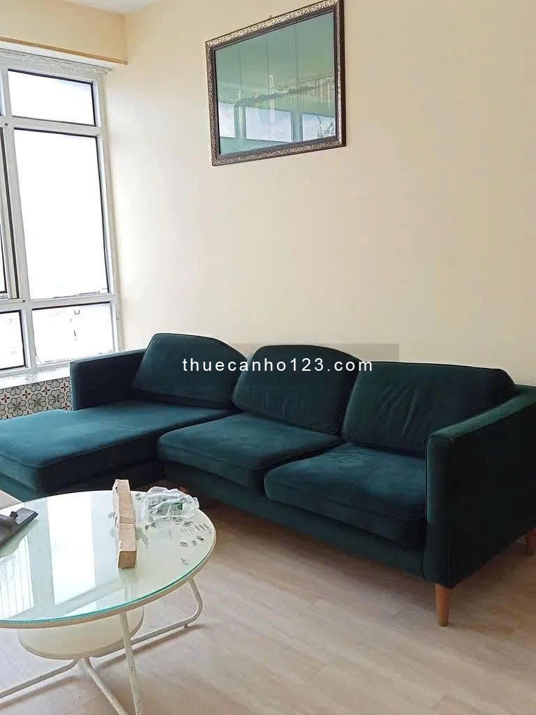 Cần cho thuê căn hộ Ngọc Phương Nam - Âu Dương Lân, P2, Q8 - Ảnh 3