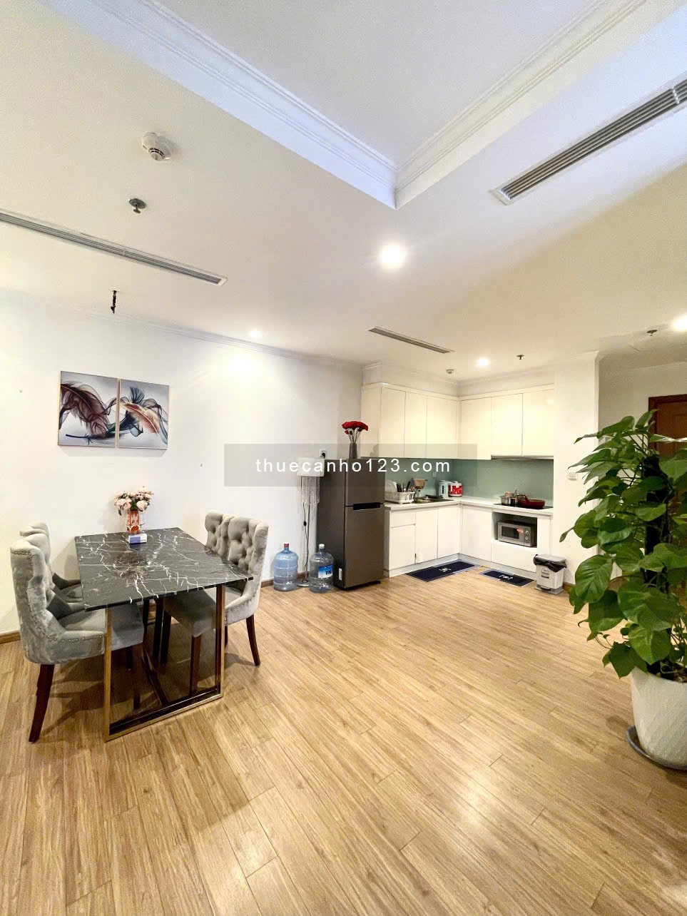 Cho thuê căn 1PN 53m2 tại Times City không đồ cuối tháng ở được chỉ 10 triệu - Ảnh 10