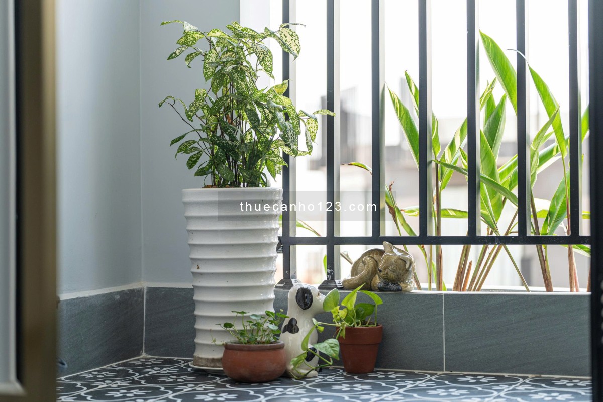 CHO THUÊ CĂN HỘ DỊCH VỤ MỚI XÂY – LÊ THỊ KỈNH, NHÀ BÈ CHỈ TỪ 10TR/PHÒNG - Ảnh 1