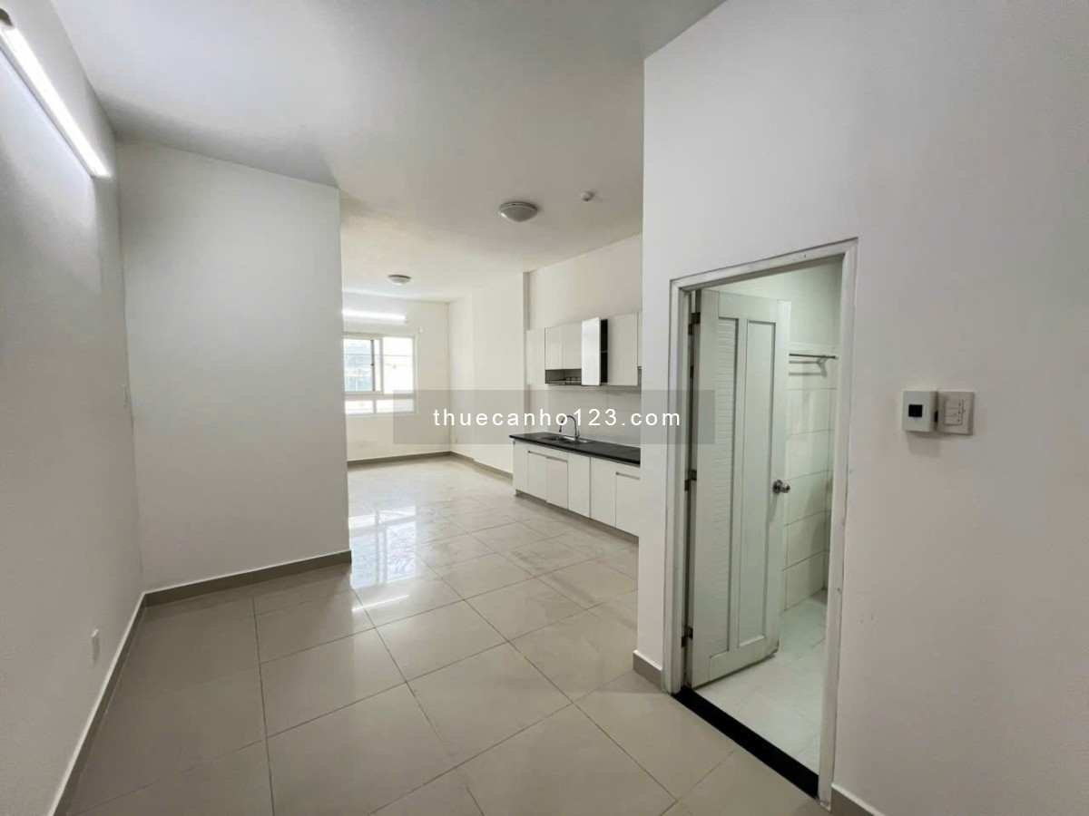 Cho thuê chung cư Topaz Garden 04 Trịnh Đình Thảo 2PN, 78m2, đủ NT giá thuê 8tr5/th - Ảnh 1