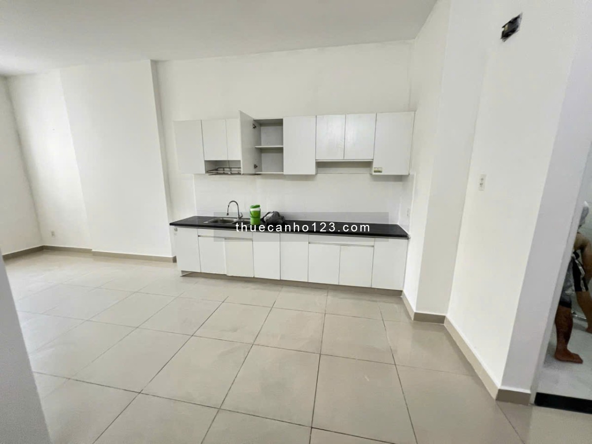 Cho thuê chung cư Topaz Garden 04 Trịnh Đình Thảo 2PN, 78m2, đủ NT giá thuê 8tr5/th - Ảnh 5