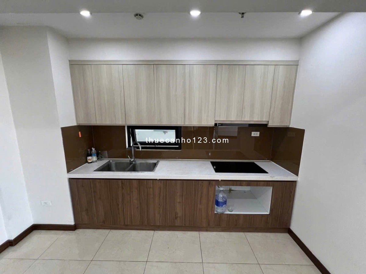 Căn Penthouse Bảy Hiền- 4 phòng ngủ 150m2- giá 17 triệu/ tháng - Ảnh 5