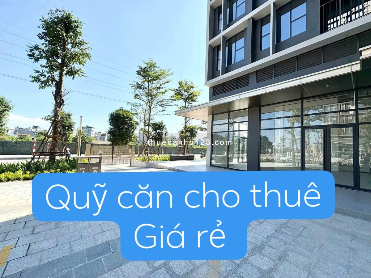 Quỹ cho thuê Lumi Hà Nội ngày 24/10 nhiều căn giá rất tốt - Ảnh 1