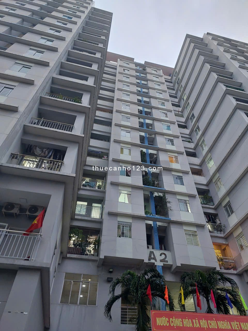 Chính chủ cần cho thuê hộ chung cư Lê Thành Lô A, Đ/C 113/89 An Dương Vương - Ảnh 2