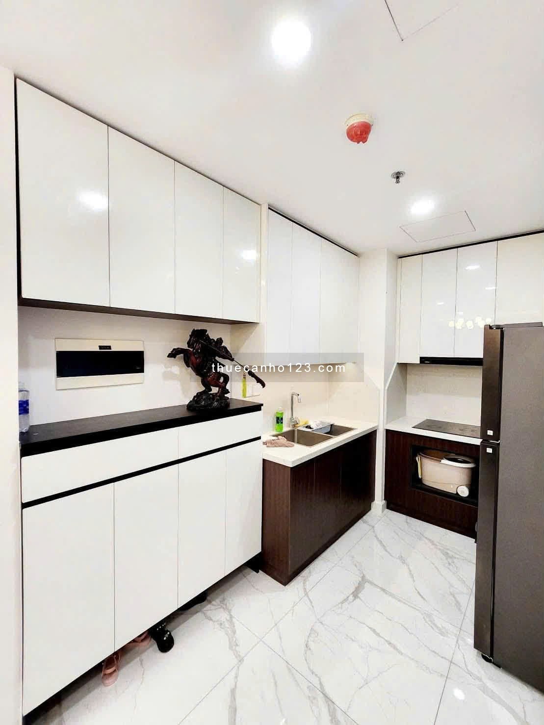 Chung Cư Hà Đô Centrosa - 98m2 / 3PN / Sẵn nội thất giá 25 tr/th - Ảnh 2