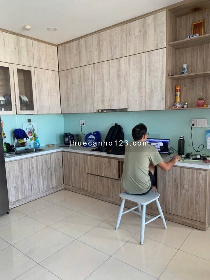 Cho thuê chung cư Hoa Sen, 262 Lạc Long Quân 2PN, DT 88m², đầy đủ nội thất, giá chỉ 12tr5/tháng - Ảnh 1