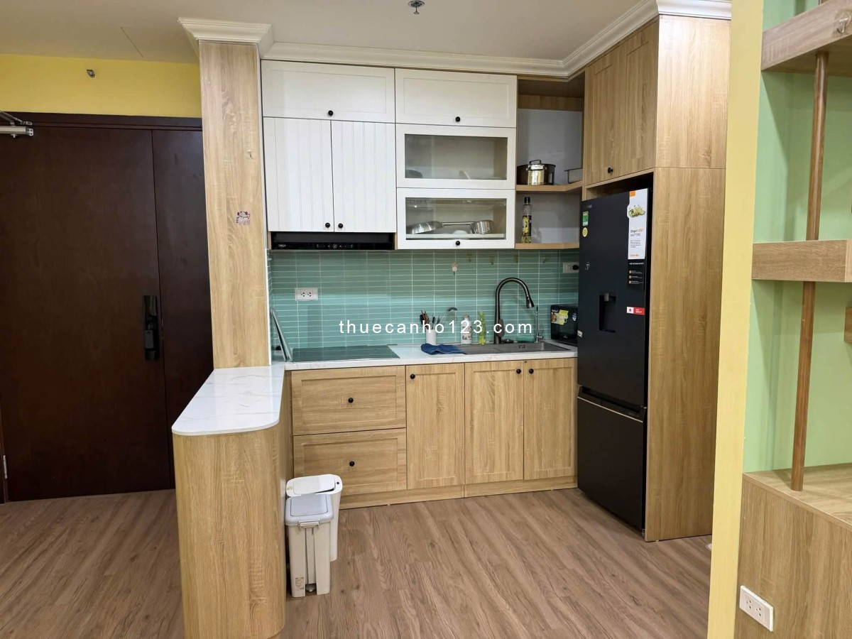 Cho thuê chung cư Park View DT 54m², 1PN, đầy đủ nội thất, chỉ 16 triệu/tháng - Ảnh 3